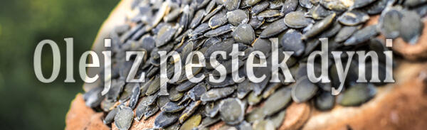 pestki z dyni